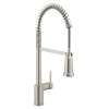 Align Pre-Rinse Spring Kitchen 3 In 1 Water Filtration Faucet