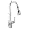 Paterson Pulldown Kitchen 3 in 1 Water Filtration Faucet