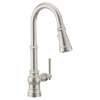 Paterson Pulldown Kitchen 3 in 1 Water Filtration Faucet