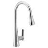Sinema Pulldown Kitchen 3 in 1 Water Filtration Faucet