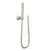 Fina Moen Eco-Performance Handheld Shower