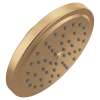 Moen Bronzed gold one-function 6-3/4" diameter spray head rainshower