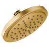 Moen Brushed gold one-function 6-3/4" diameter spray head rainshower