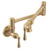 Traditional Wall Mount Swing Arm Pot Filler