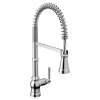 Paterson One-Handle Pre-Rinse Spring Pulldown Kitchen Faucet