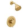 Align Brushed gold Posi-Temp(R) Eco-Performance Shower
