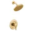 Cia Brushed gold Posi-Temp(R) shower only