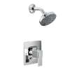 Iver Chrome Posi-Temp(R) shower only
