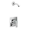 Iver Chrome Posi-Temp(R) shower only