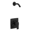Iver Matte black Posi-Temp(R) shower only