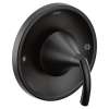Glyde Matte black Posi-Temp(R) valve trim