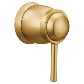 Align Brushed Gold Volume Control Trim