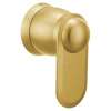 Greenfield Brushed gold volume control