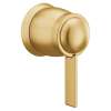 Cia Brushed gold ExactTemp(R) volume control