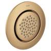 Mosaic Bronzed gold showerhead