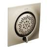 Mosaic Polished nickel body spray