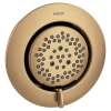 Mosaic Bronzed gold showerhead