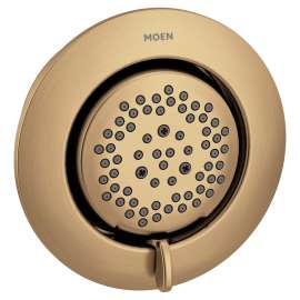 Mosaic Bronzed gold showerhead
