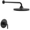 Cambium Matte black Posi-Temp(R) shower only