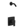 Iver M-CORE 2-Series Shower Trim
