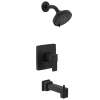 Iver M-CORE 2-Series Tub and Shower Trim
