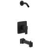 Iver M-CORE 2-Series Tub and Shower Trim
