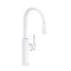 Newport Brass Chesterfield(R): Pull-Down Kitchen Faucet