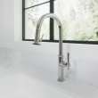 Newport Brass Chesterfield(R): Pull-Down Kitchen Faucet - Trigger Spray