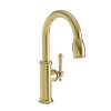 Newport Brass Chesterfield(R): Prep/Bar Pull Down Faucet