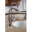 Newport Brass Nadya(R): Hot & Cold Water Dispenser