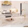 Newport Brass Metropole(R): Pull-Down Kitchen Faucet