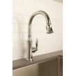 Newport Brass Metropole(R): Pull-Down Kitchen Faucet