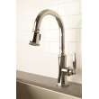 Newport Brass Metropole(R): Pull-Down Kitchen Faucet