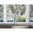 Newport Brass Metropole(R): Pull-Down Kitchen Faucet