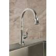 Newport Brass Metropole(R): Pull-Down Kitchen Faucet