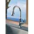 Newport Brass Metropole(R): Pull-Down Kitchen Faucet