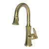 Newport Brass Metropole(R): Prep/Bar Pull Down Faucet