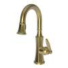 Newport Brass Metropole(R): Prep/Bar Pull Down Faucet