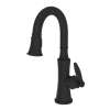 Newport Brass Metropole(R): Prep/Bar Pull Down Faucet