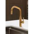 Newport Brass East Linear(R): Pull-Down Kitchen Faucet