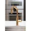 Newport Brass East Linear(R): Pull-Down Kitchen Faucet
