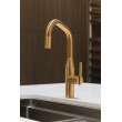 Newport Brass East Linear(R): Pull-Down Kitchen Faucet