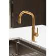 Newport Brass East Linear(R): Pull-Down Kitchen Faucet