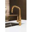 Newport Brass East Linear(R): Pull-Down Kitchen Faucet