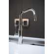 Newport Brass East Linear(R): Pull-Down Kitchen Faucet