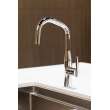 Newport Brass East Linear(R): Pull-Down Kitchen Faucet