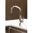 Newport Brass East Linear(R): Pull-Down Kitchen Faucet