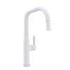 Newport Brass East Linear(R): Pull-Down Kitchen Faucet