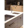 Newport Brass East Linear(R): Pull-Down Kitchen Faucet