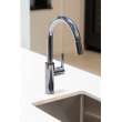 Newport Brass East Linear(R): Pull-Down Kitchen Faucet